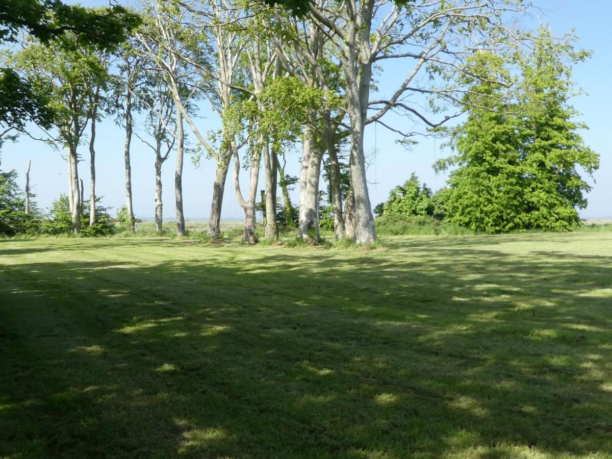Wigton West Border Farmヴィラ エクステリア 写真